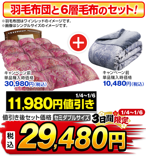 モリリン 布団・快眠グッズ エクセルラベル羽毛布団 セミダブル ワイン