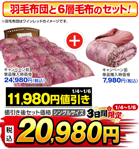 モリリン 布団・快眠グッズ エクセルラベル羽毛布団 シングル ワイン