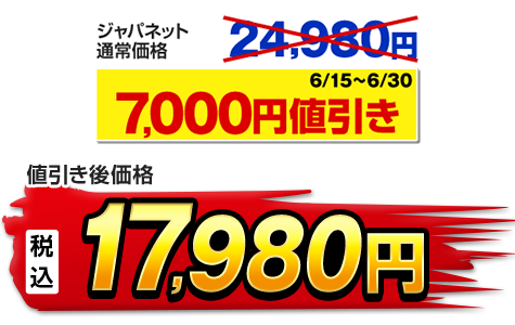 モリリン 布団・快眠グッズ エクセルラベル羽毛布団 シングル ワイン
