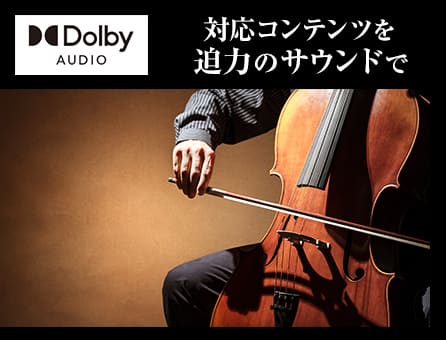 Dolby Audio𓋍
