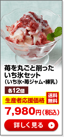 苺を丸ごと削った　いち氷12個セット（送料無料）