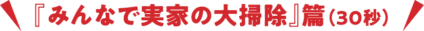『みんなで実家の大掃除』篇(30秒)