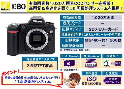 �j�R�� �f�W�^����჌�t�J���� D80 �{�f�B D80
