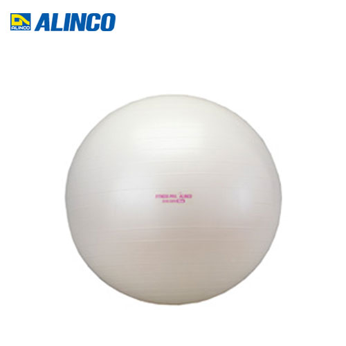 【クリックで詳細表示】アルインコ エクササイズボール 65cm EXG025