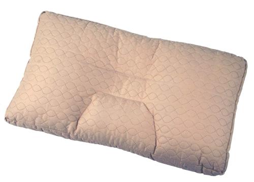 【クリックで詳細表示】西川産業 洗えるやわらか枕 EAA5558008