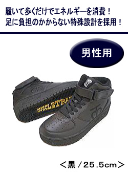 �w�}�b�X���g���[�i�[�x �j���p ��/25.5cm AB100��25.5