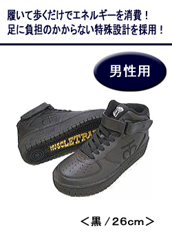 �w�}�b�X���g���[�i�[�x �j���p ��/26cm AB100��26