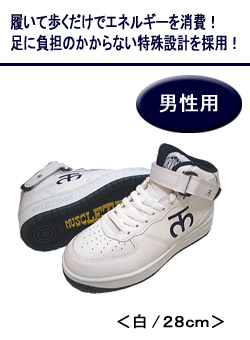 �w�}�b�X���g���[�i�[�x �j���p ��/28cm AB100��28