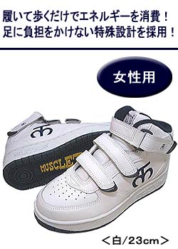 �w�}�b�X���g���[�i�[�x �����p ��/23cm AB250��23