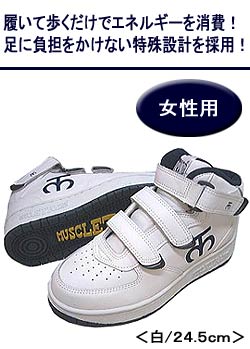�w�}�b�X���g���[�i�[�x �����p ��/24.5cm AB250��24.5