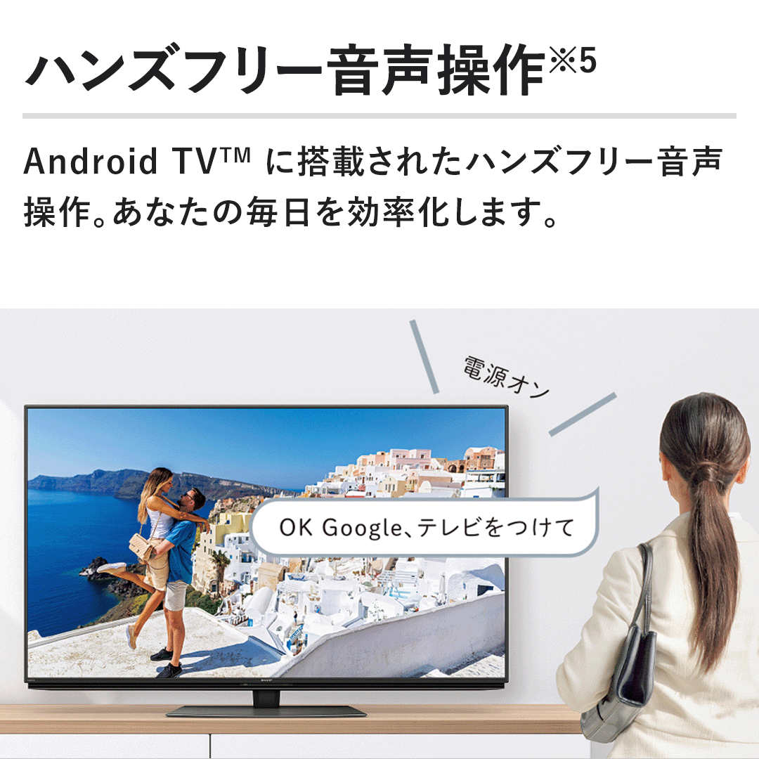 nYt[@Android TV(TM) ɓڂꂽnYt[BȂ̖B