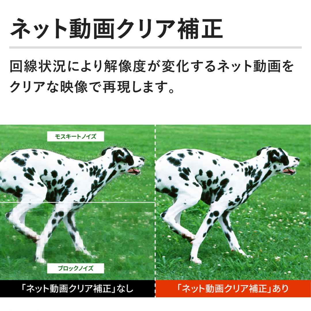 lbgNA␳@󋵂ɂ𑜓xωlbgNAȉfōČ܂B