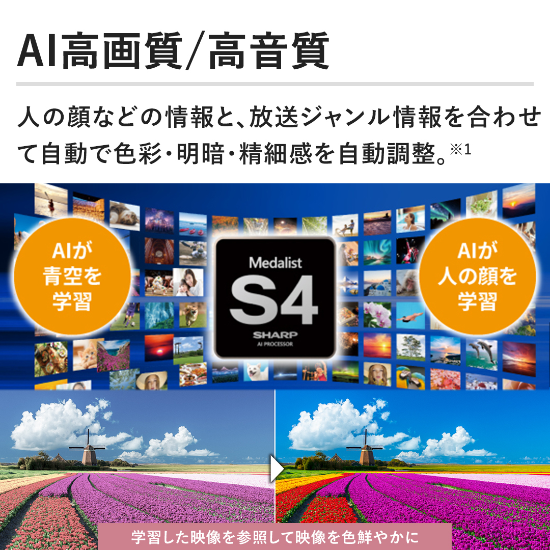 yAI掿/zl̊Ȃǂ̏ƁAW킹ĎŐFʁEÁE׊B