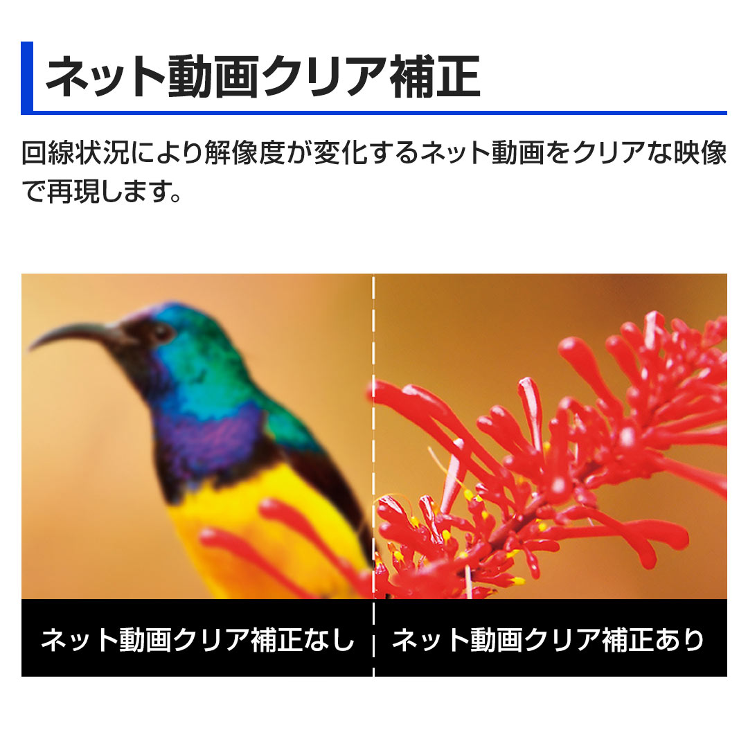 ����󋵂ɂ��𑜓x���ω�����l�b�g������N���A�ȉf���ōČ����܂��B