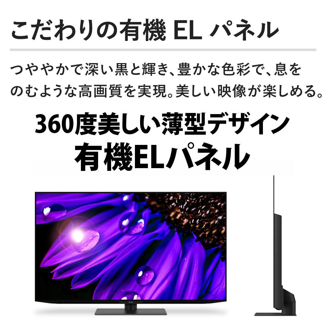 ̗L@ELpl@₩Ő[ƋPALȐFʂŁÂނ悤ȍ掿Bfy߂B