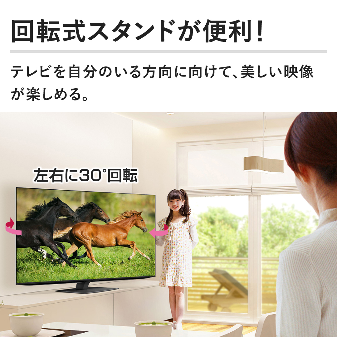 レグザ オンラインストア / 【延長保証+据付サービスセット