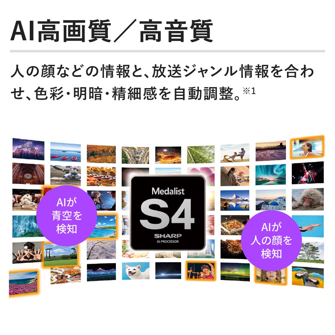 yAI掿^zl̊Ȃǂ̏ƁAW킹AFʁEÁE׊B