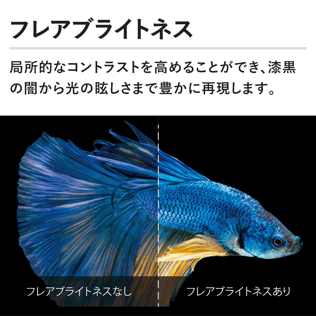 �t���A�u���C�g�l�X�@�Ǐ��I�ȃR���g���X�g�����߂邱�Ƃ��ł��A�����̈ł������ῂ����܂ŖL���ɍČ����܂��B