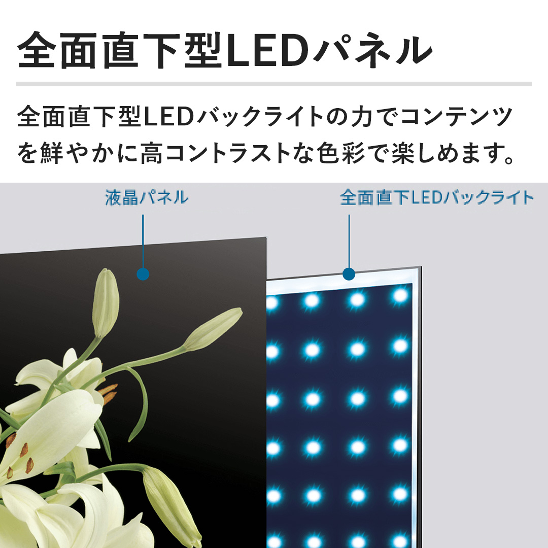 ySʒ^LEDplzSʒ^LEDobNCg̗͂ŃRecN₩ɍRgXgȐFʂŊy߂܂B