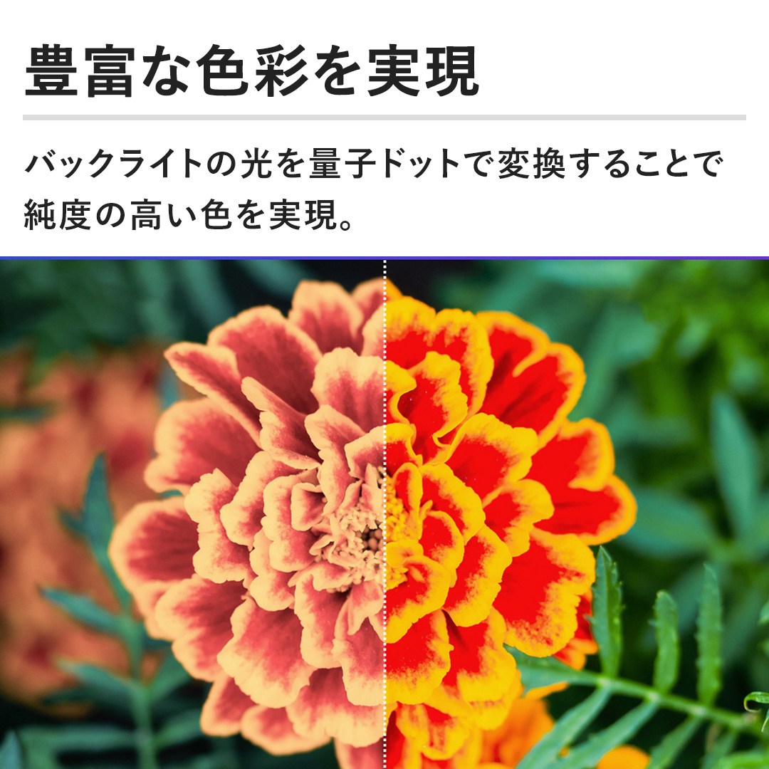LxȐFʂ@obNCǧʎqhbgŕϊ邱Ƃŏx̍FB
