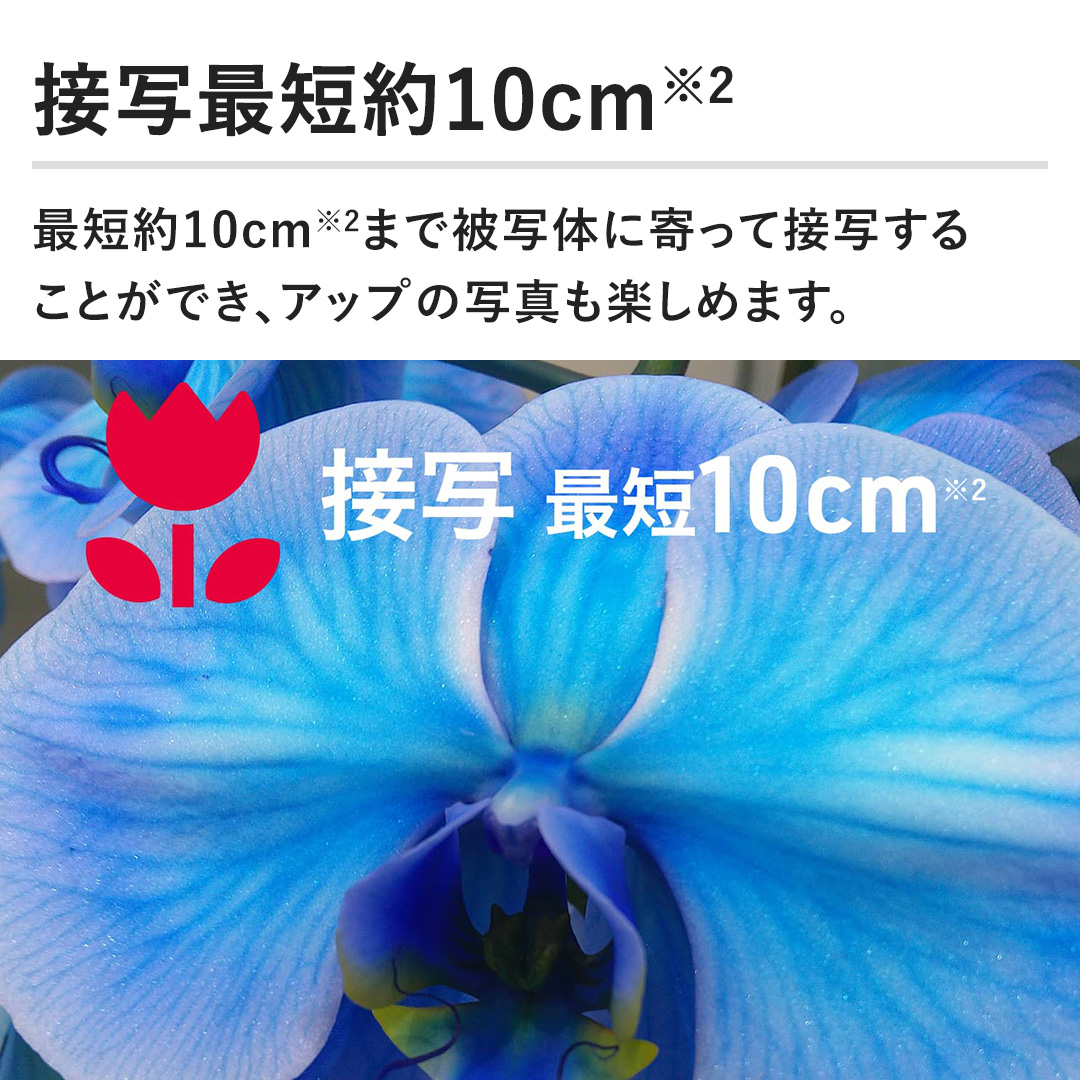 yڎʍŒZ10cmzŒZ10cm܂Ŕʑ̂ɊĐڎʂ ƂłAAbv̎ʐ^y߂܂B