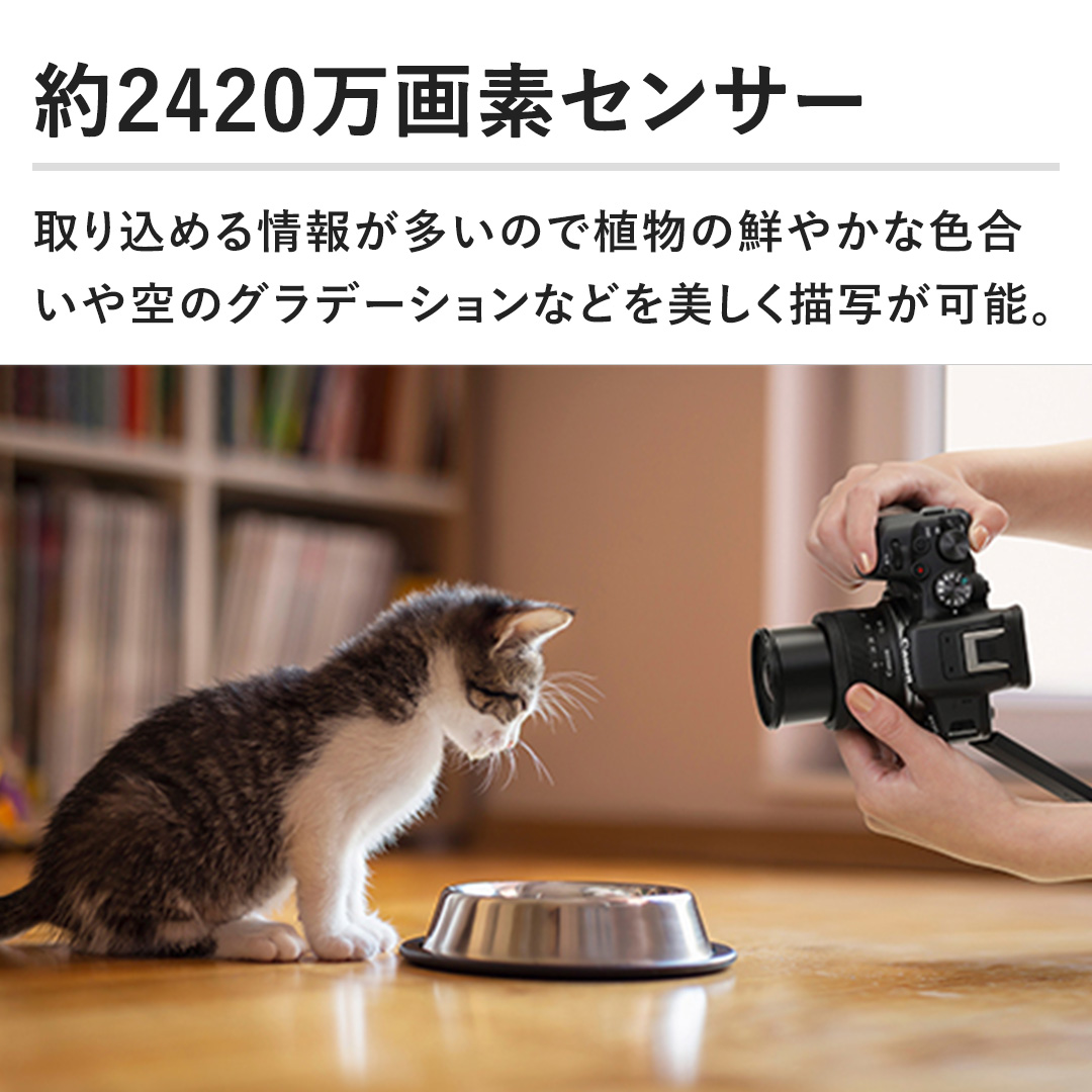 2420fZT[@荞߂񂪑̂ŐȂN₩ȐF̃Of[VȂǂ`ʂ\B