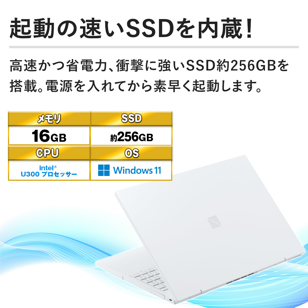 �y�N���̑���SSD������I�z�������ȓd�́A�Ռ��ɋ���SSD��256GB�𓋍ځB�d�������Ă���f�����N�����܂��B