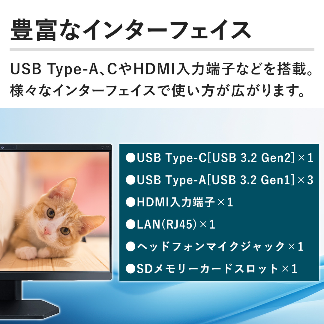 yLxȃC^[tFCXzUSB Type-AACHDMI͒[qȂǂ𓋍ځBlXȃC^[tFCXŎgL܂B