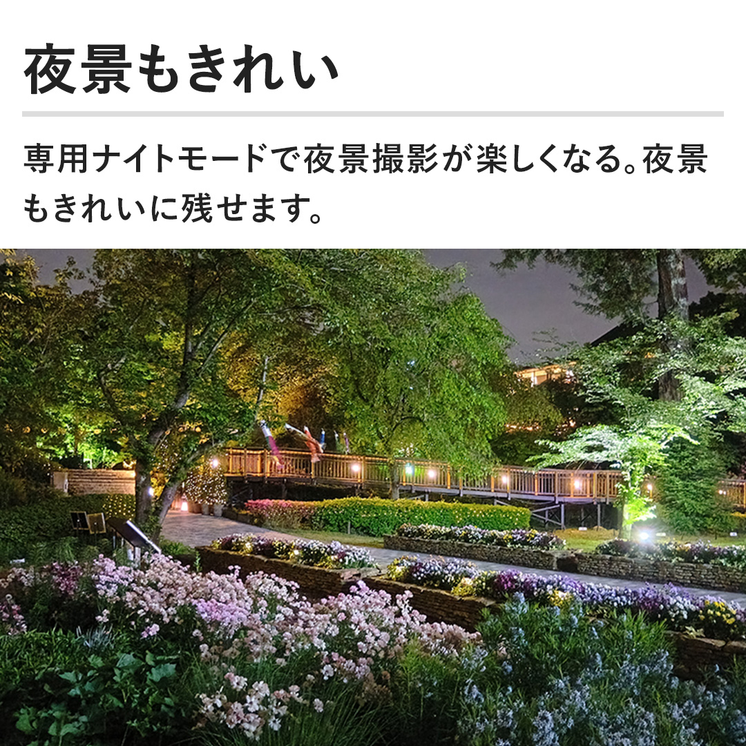 �y��i�����ꂢ�z��p�i�C�g���[�h�Ŗ�i�B�e���y�����Ȃ�B��i�����ꂢ�Ɏc���܂��B