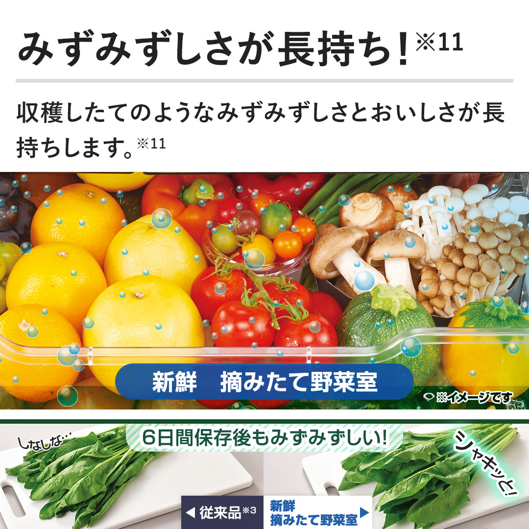 �y�݂��݂��������������I�z���n�����Ă̂悤�Ȃ݂��݂������Ƃ������������������܂��B