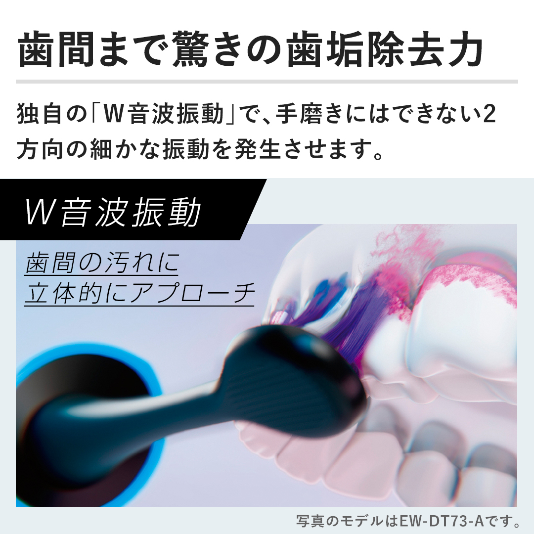 yԂ܂ŋ̎ĆzƎ́uvgUvŁA薁ɂ͂łȂ2ׂ̍ȐU𔭐܂B