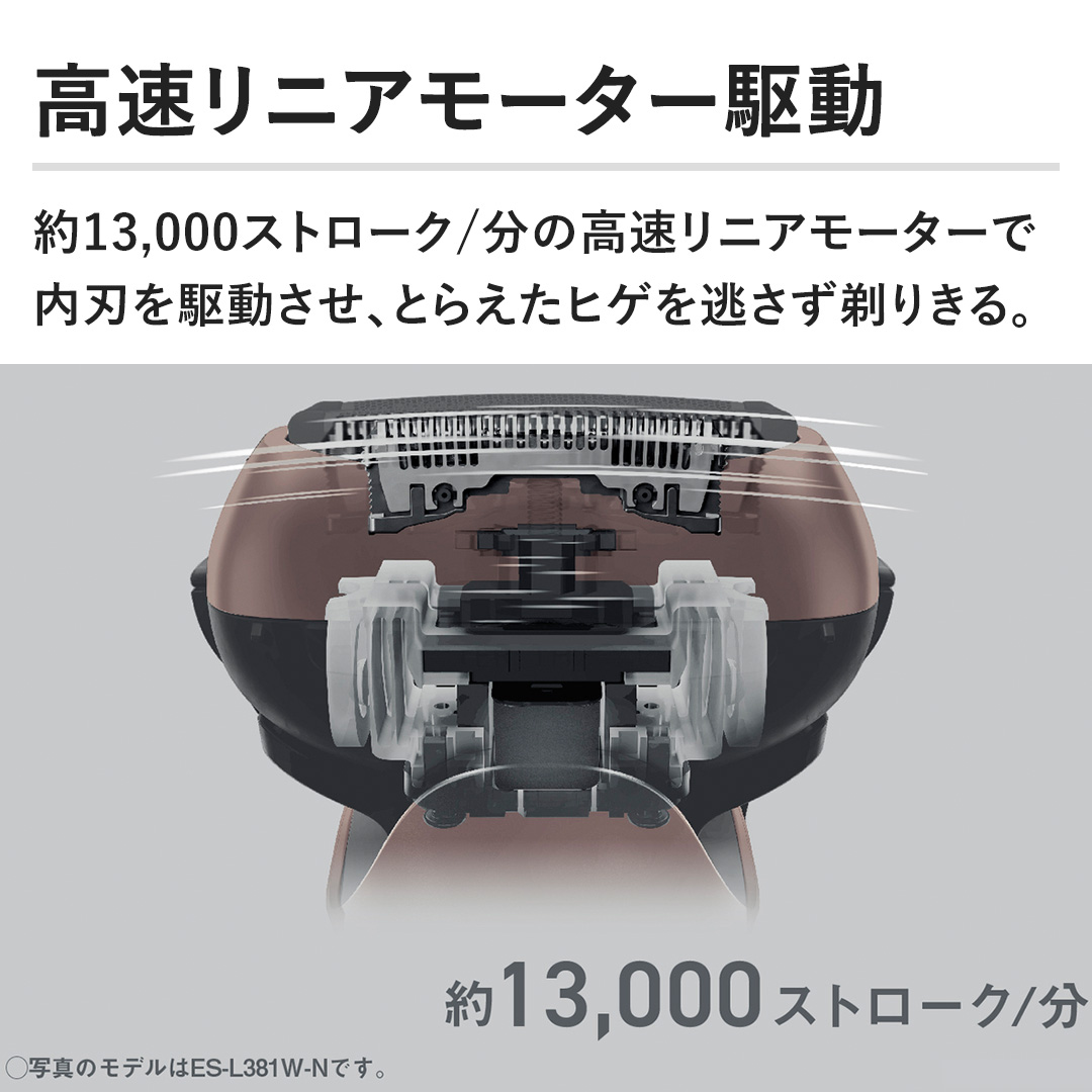 yjA[^[쓮z13,000Xg[N/̍jA[^[œn쓮AƂ炦qQ𓦂肫B