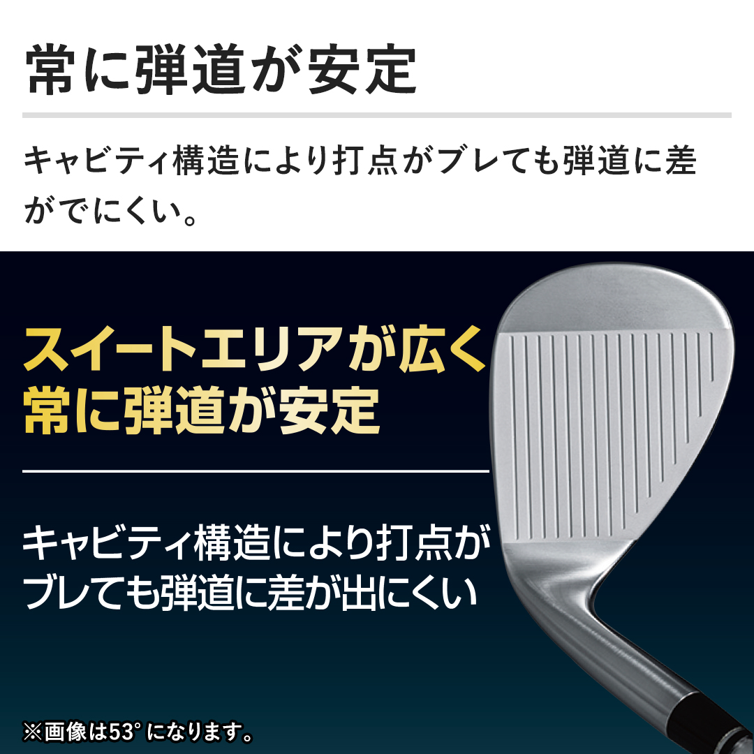 本間ゴルフ ゴルフ TW-ZERO WEDGE ゴルフクラブ WEDGE CHIPPER