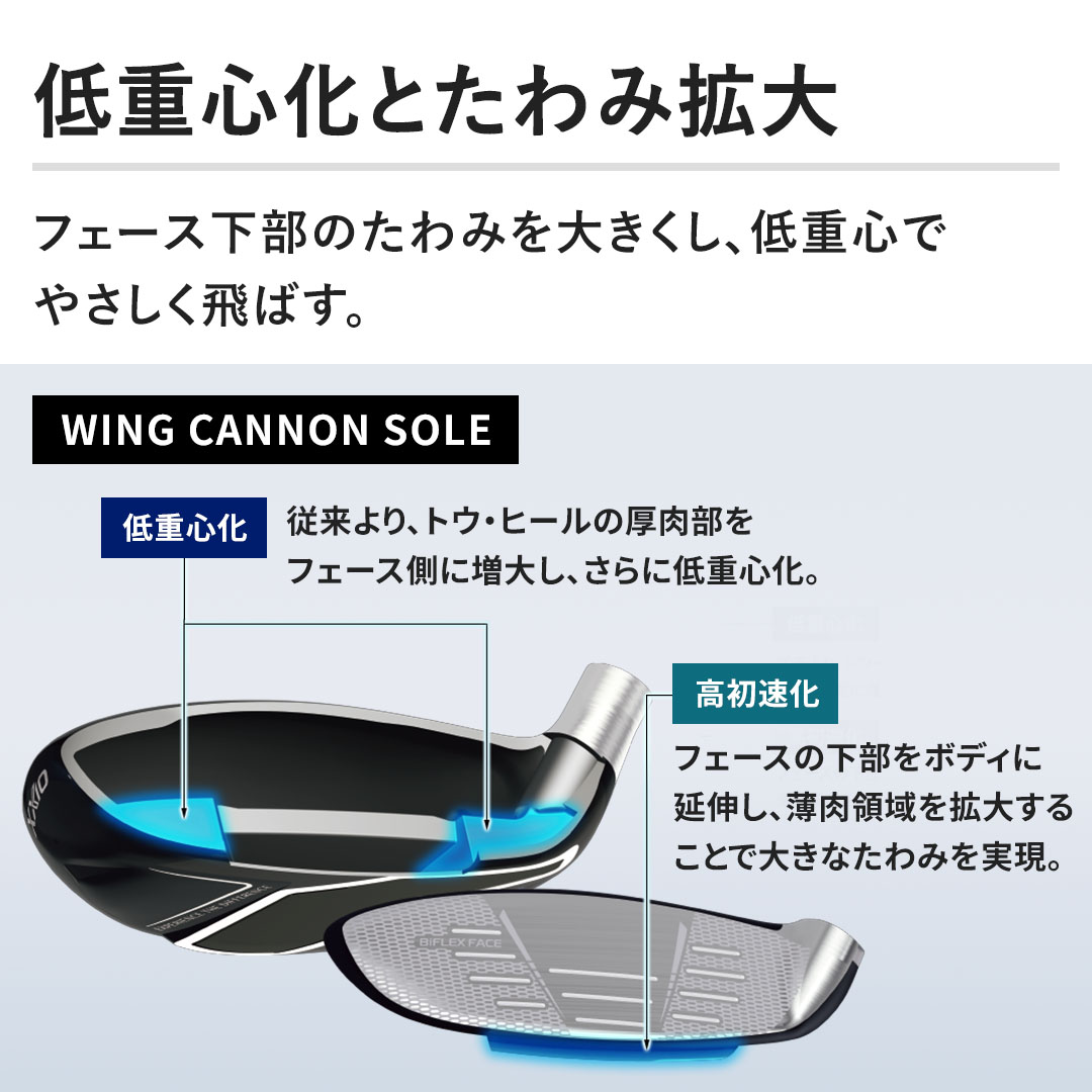 �y��d�S���Ƃ���݊g��z�t�F�[�X�����̂���݂�傫�����A��d�S�ł₳������΂��B