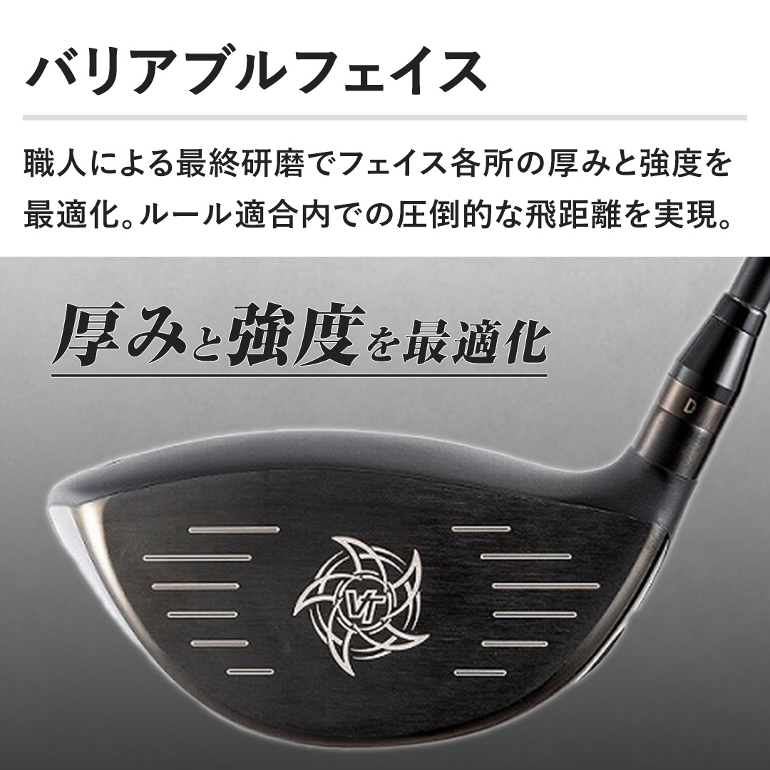 �y�o���A�u���t�F�C�X�z�E�l�ɂ��ŏI�����Ńt�F�C�X�e���̌��݂Ƌ��x���œK���B���[���K�����ł̈��|�I�Ȕ򋗗��������B