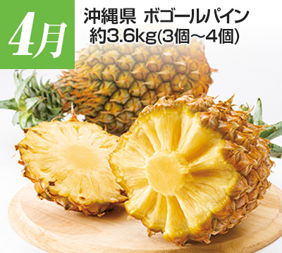 4���@���ꌧ�@�{�S�[���p�C����3.6kg�i3�`4�j