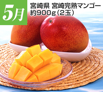 5���@�{�茧�@�{�芮�n�}���S�[�@��900g�i2�ʁj
