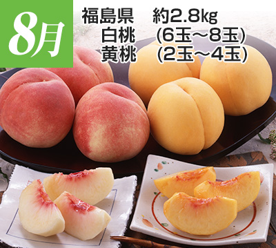 8���@�������@��2.8kg�@�����i6�ʁ`8�ʁj�����i2�ʁ`4�ʁj
