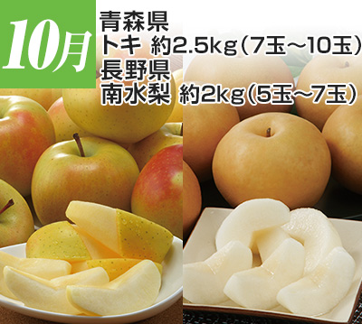 10���@�X���@�g�L��2.5�s�i7�ʁ`10�ʁj�@���쌧�@�쐅����2�s�i5�ʁ`7�ʁj