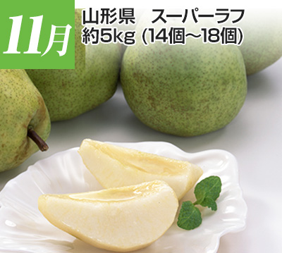 11���@�R�`���@�X�[�p�[���t�@��5kg�i14�`18�j