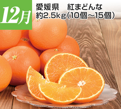 12���@���Q���@�g�܂ǂ�ȁ@��2.5kg�i10�`15�j