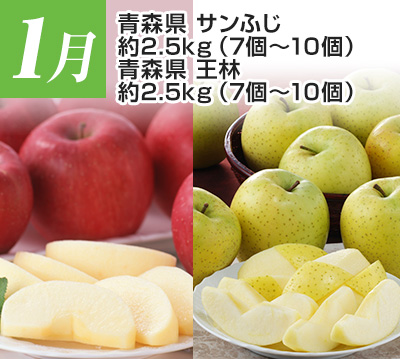 1���@�X���@�T���ӂ��@��2.5kg�i7�`10�j�@�X���@���с@��2.5kg�i7�`10�j