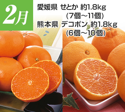 2���@���Q���@���Ƃ��@��1.8kg�i7�`11�j�F�{���@�f�R�|���@��1.8�s�i6�`10�j