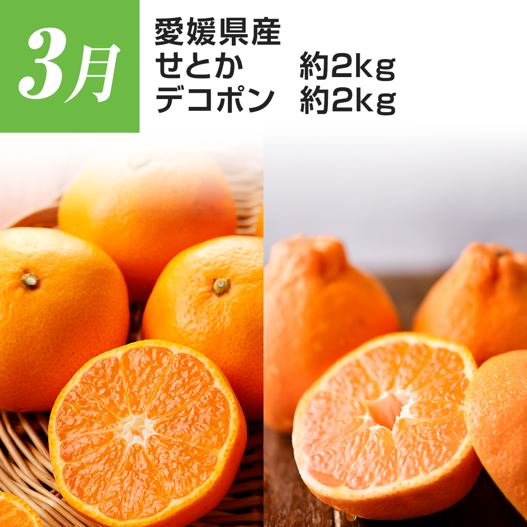 3�� ���Q���Y ���Ƃ� ��2kg �f�R�|�� ��2kg
