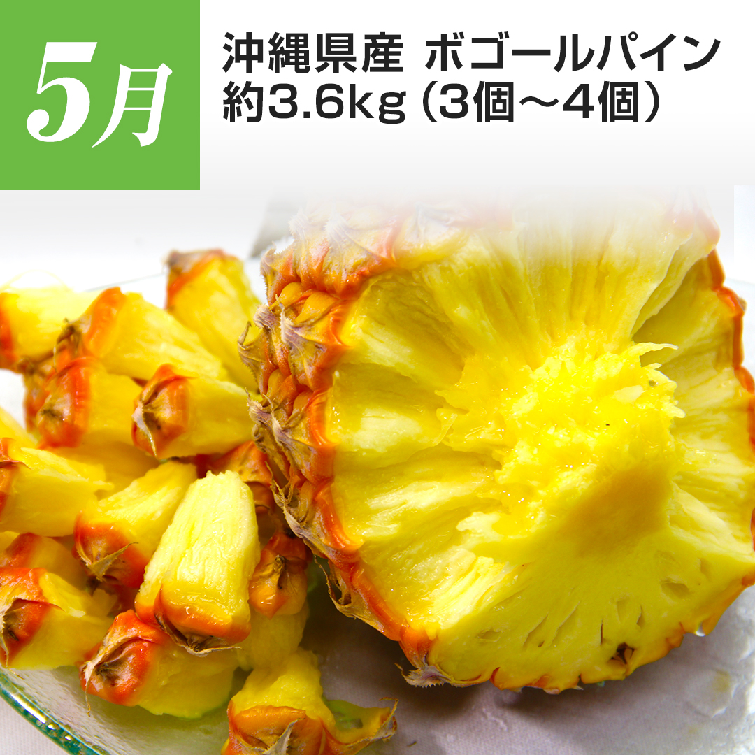 5�� ���ꌧ�Y �{�S�[���p�C�� ��3.6kg�i3�`4�j
