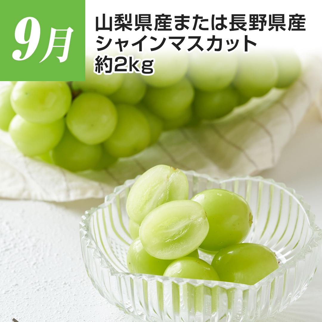 9�� �R�����Y�܂��͒��쌧�Y �V���C���}�X�J�b�g ��2kg