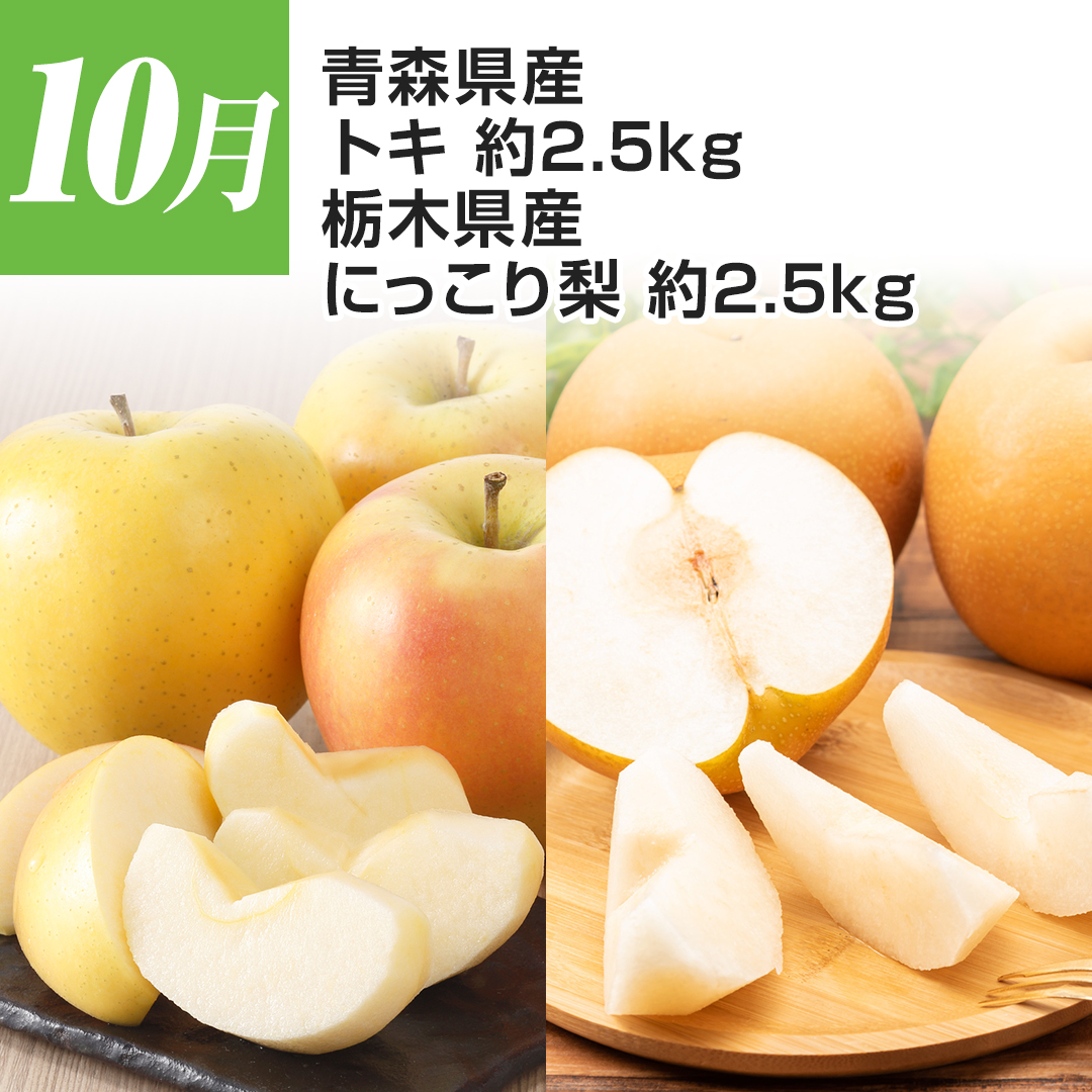 10�� �X���Y �g�L ��2.5kg �Ȗ،��Y �ɂ����藜 ��2.5kg