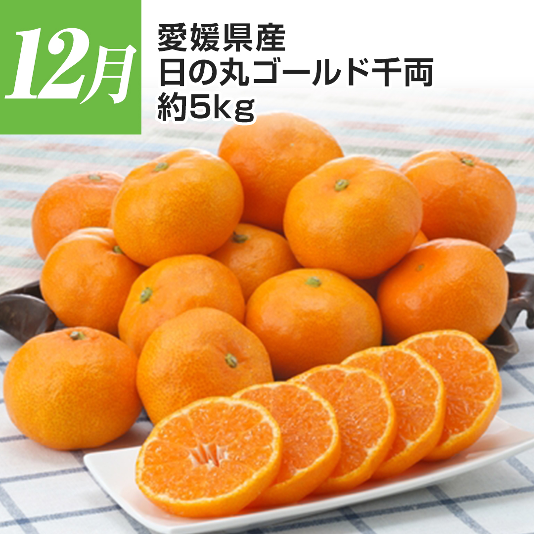 12�� ���Q�Y ���̊ۃS�[���h�痼 ��5kg