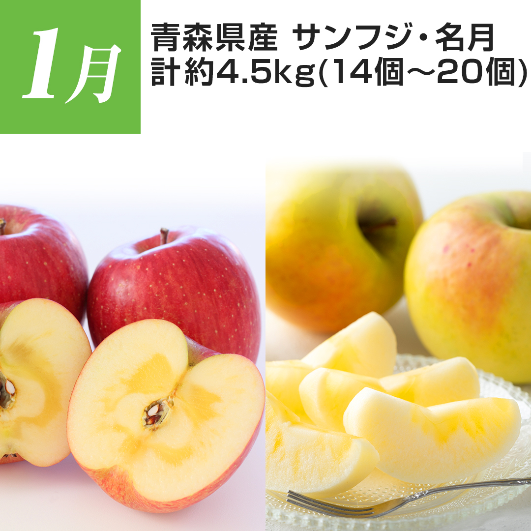 1�� �X���Y �T���t�W�E���� �v��4.5kg�i14�`20�j
