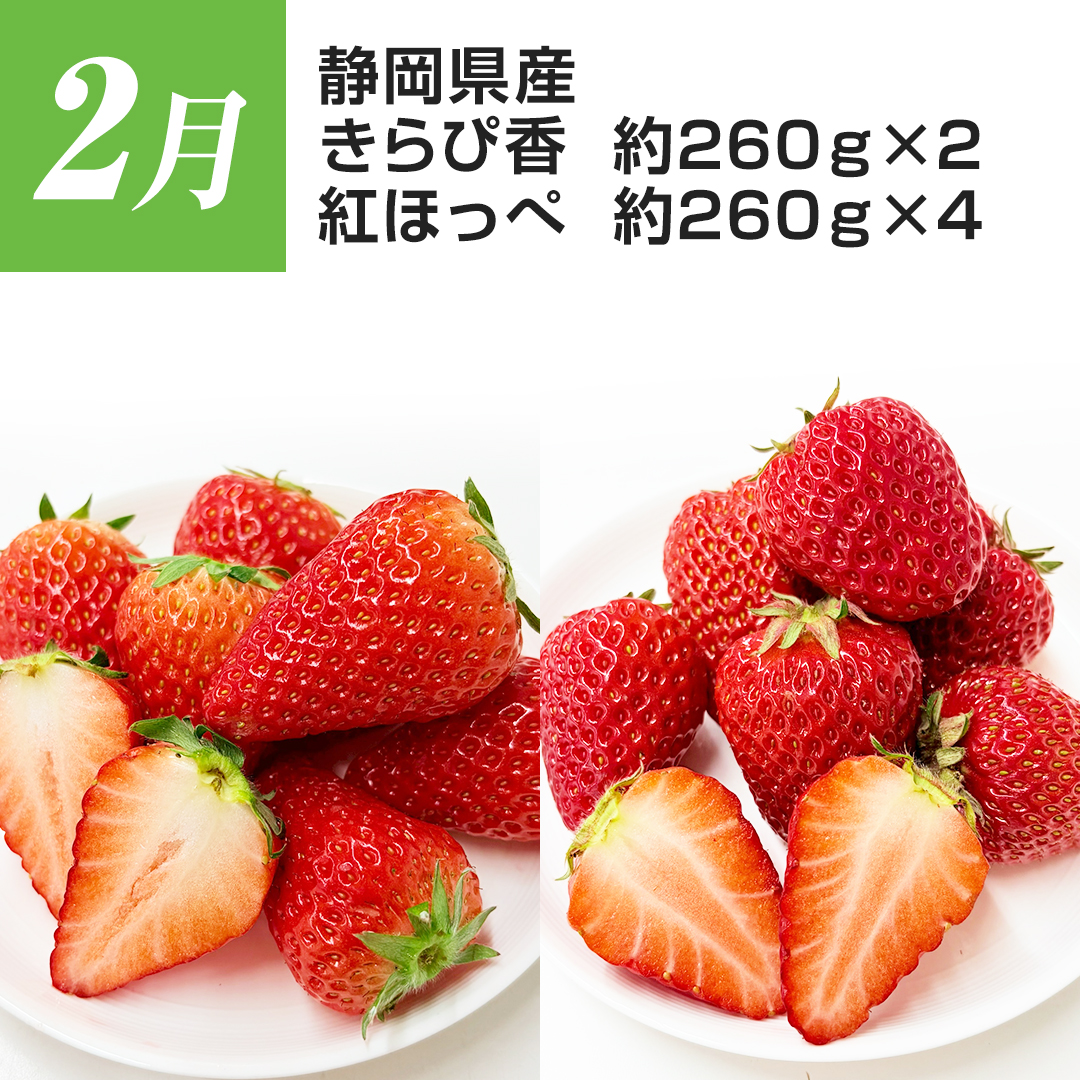 2�� �É����Y ����э� ��260g�~2 �g�ق��� ��260g�~4